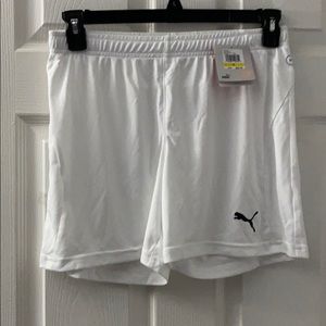 Women’s puma shorts